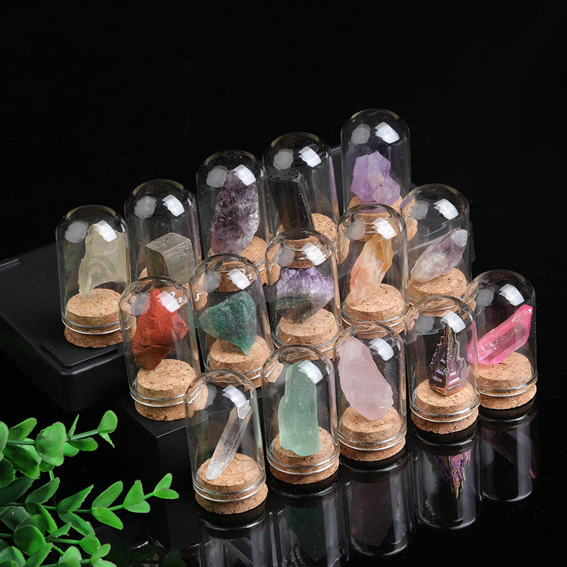 Mini Crystal Specimens in Glass Dome Display – Healing Stones Collection for Energy Balancing and Spiritual Decor