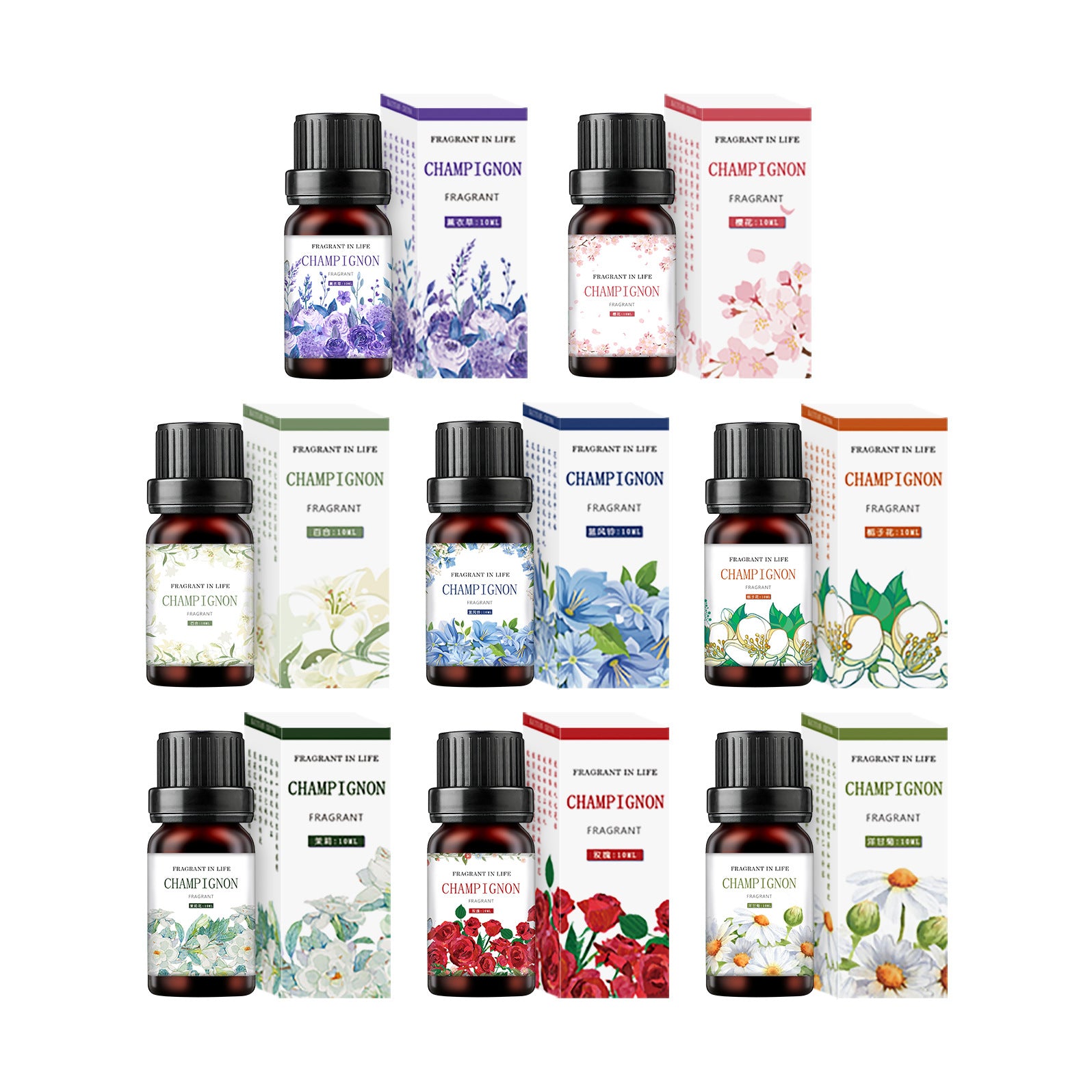 Essential Oil Gift Set - Premium Aromatherapy Oils Collection for Relaxation and Wellness