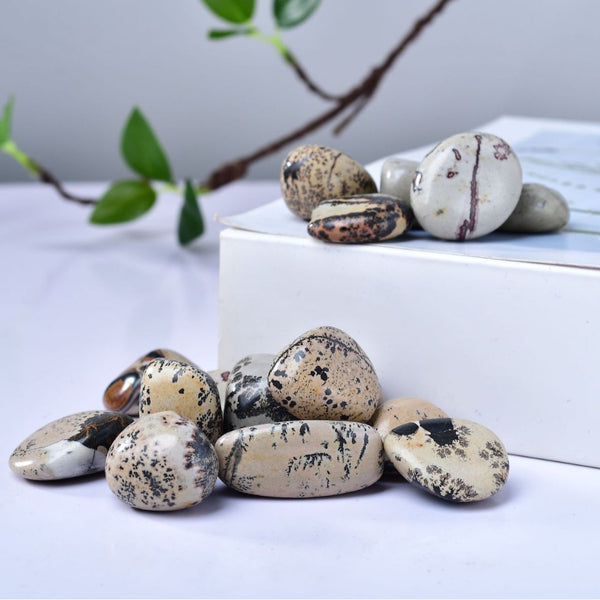 Polished Landscape Jasper Healing Stones for Meditation, Grounding, and Spiritual Protection