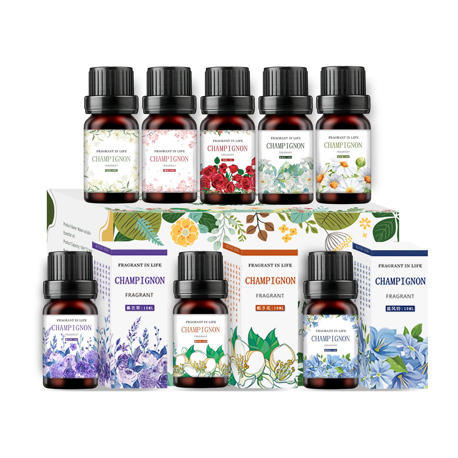 Essential Oil Gift Set - Premium Aromatherapy Oils Collection for Relaxation and Wellness