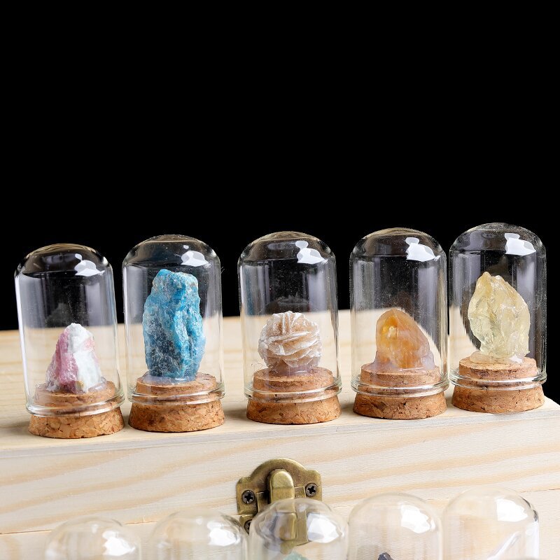 Exquisite Crystal Display Set in Glass Domes with Cork Base. Collection for Spiritual Healing and Energy Balancing