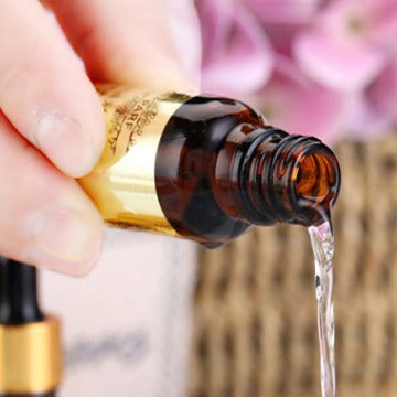 Pure and Natural Aromatherapy Essential Oils - Lavender, Osmanthus, Lily, Jasmine, Ocean, and Ancient Dragon